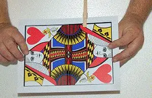 No image