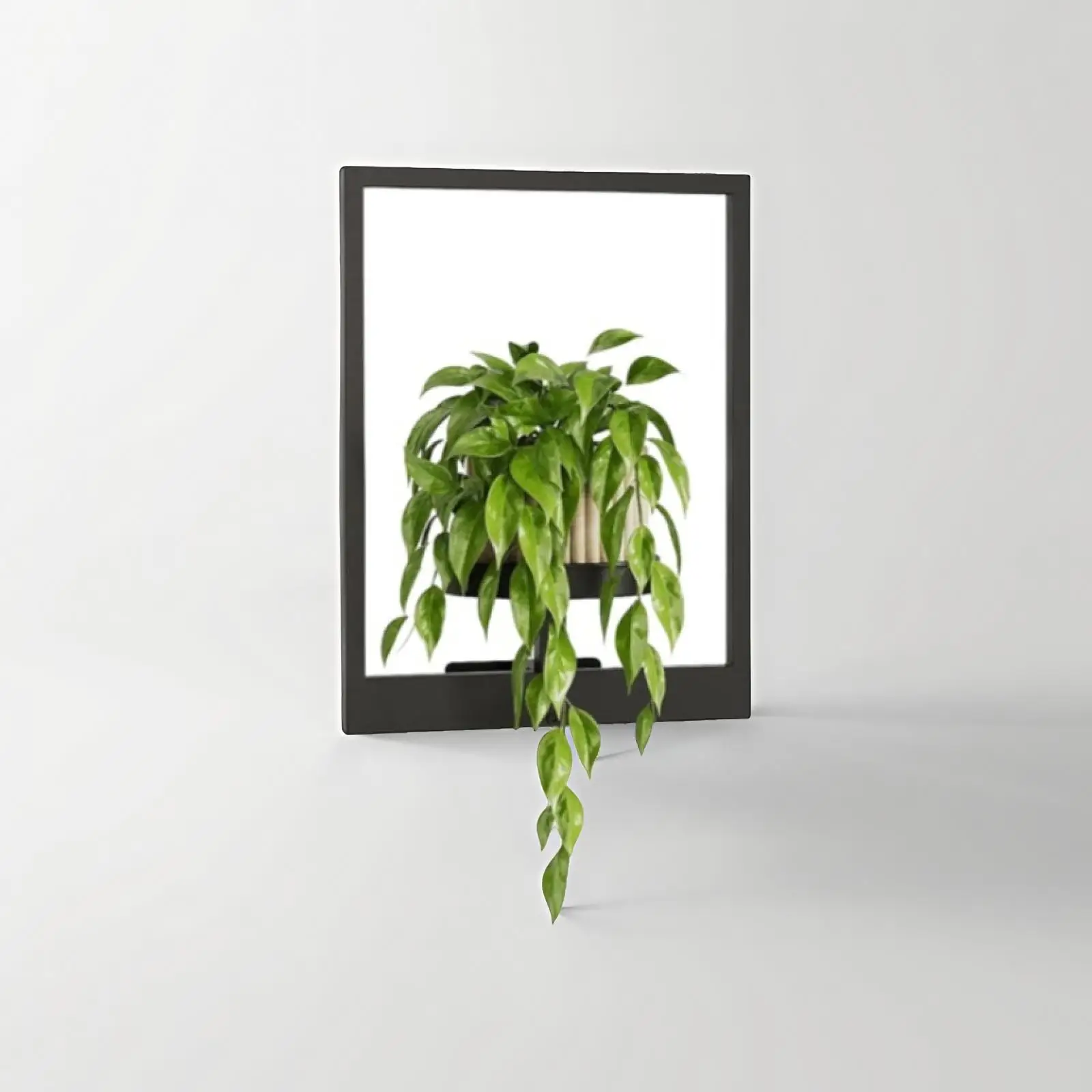 No image