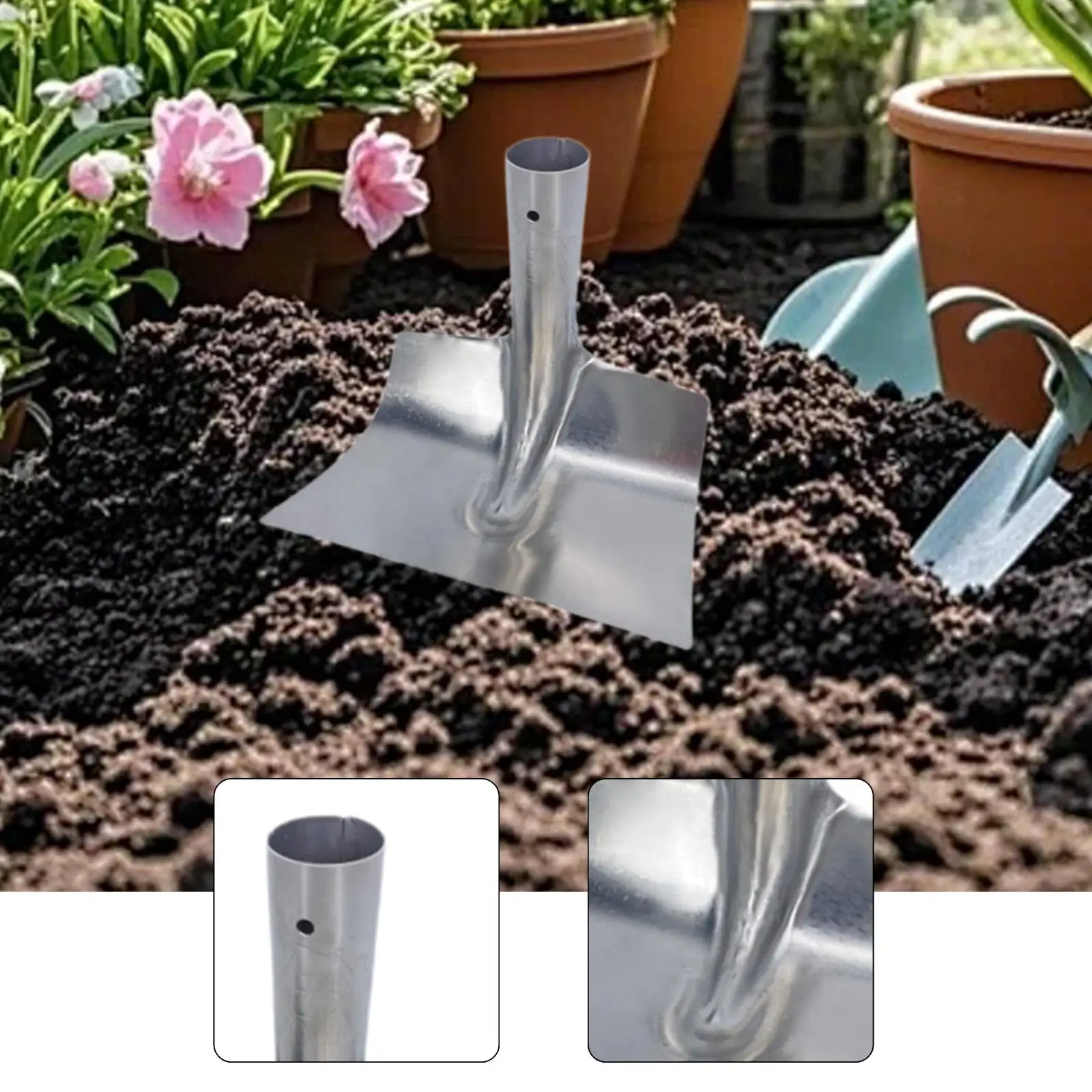 No image