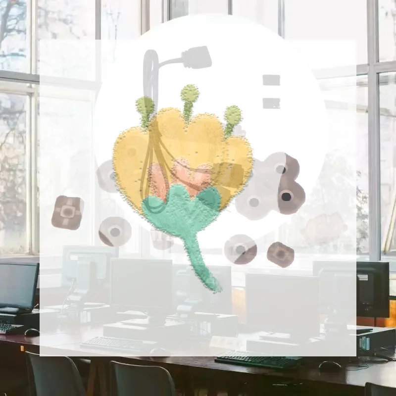 No image