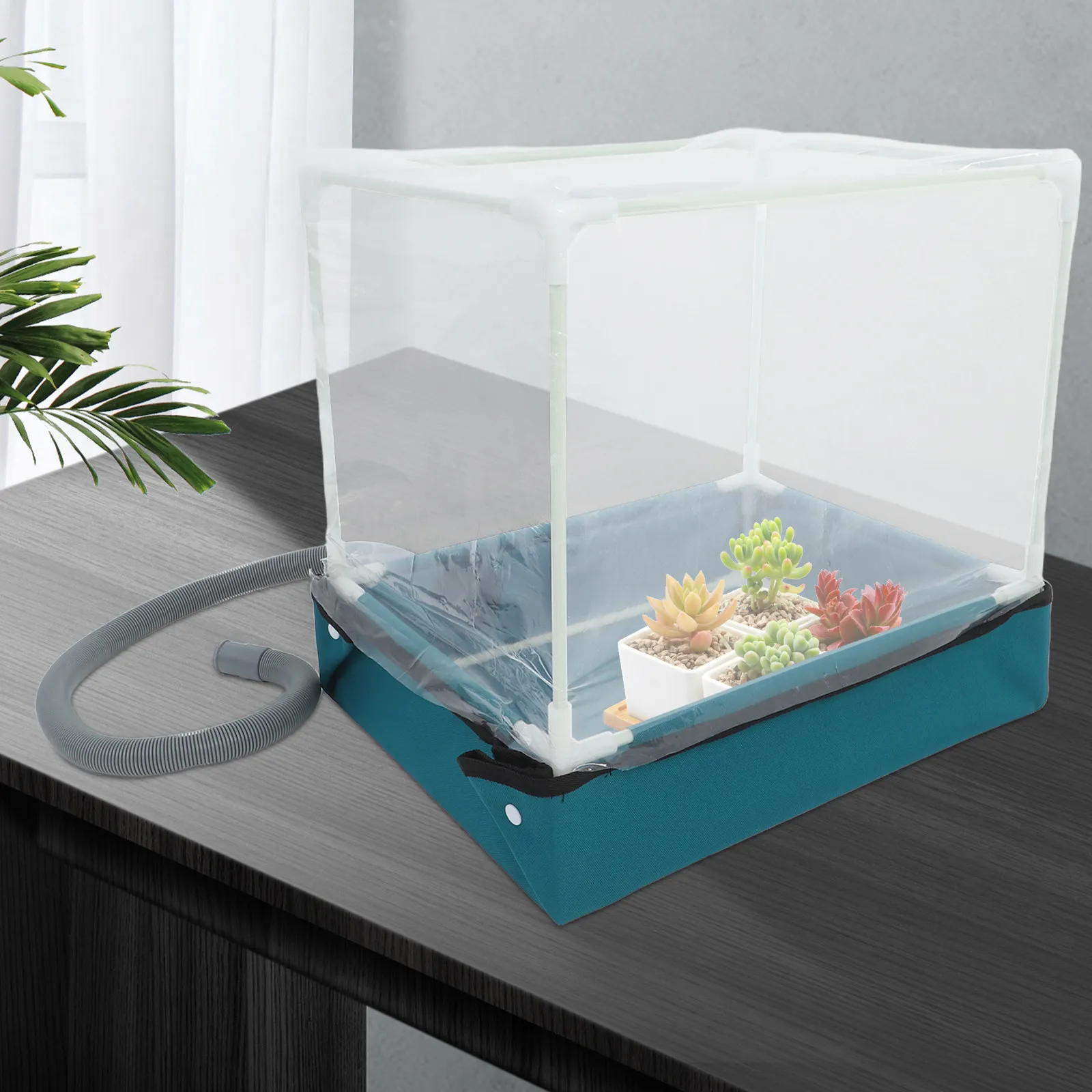 No image
