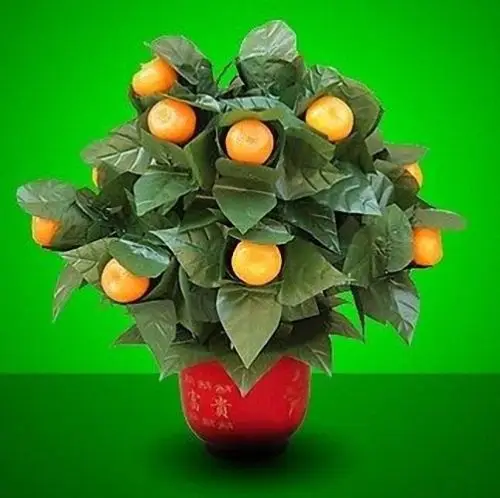 10 Blooming Oranges Remote Control Magic Tricks Stage Appear Gimmick Props for Party Wedding Illusion