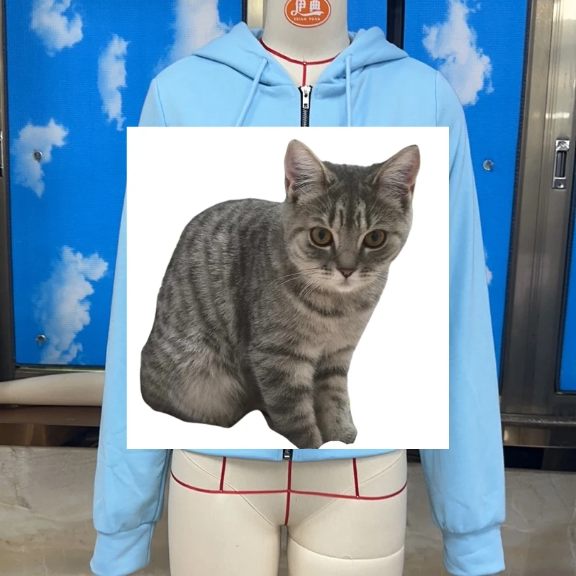 No image