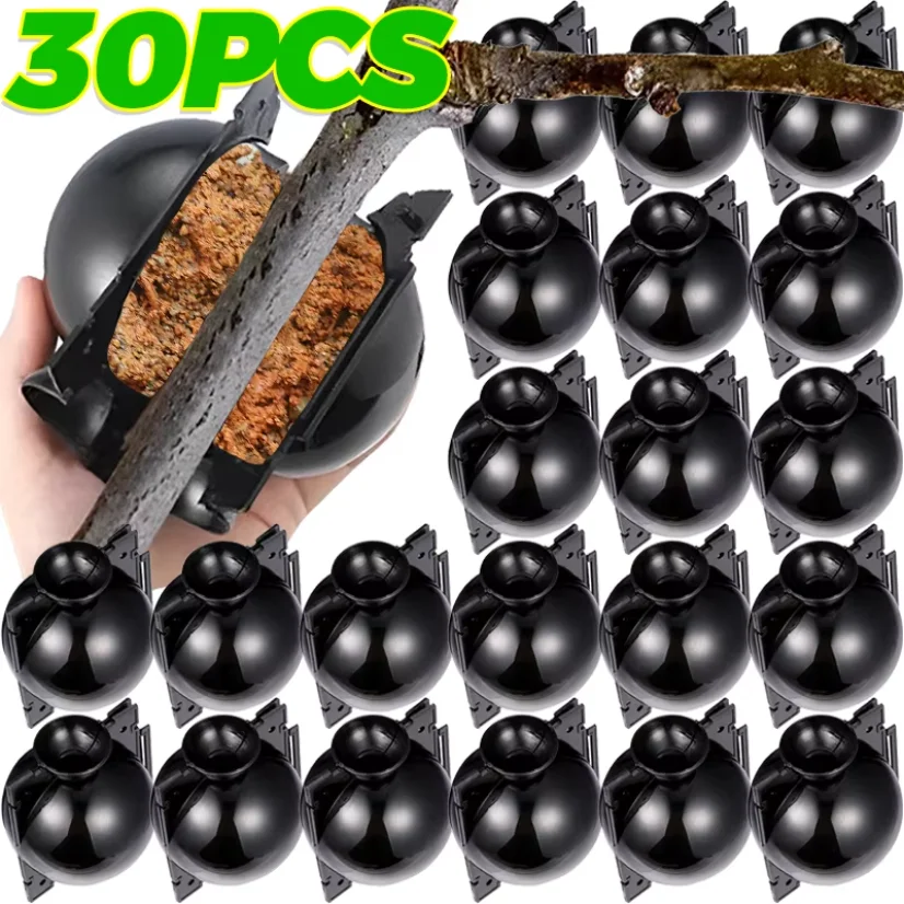 5/30PCS Plant Rooting Ball Grafting Rooting Box Breeding Case High Pressure Plant Root Growing Box For Garden Planting Supplies