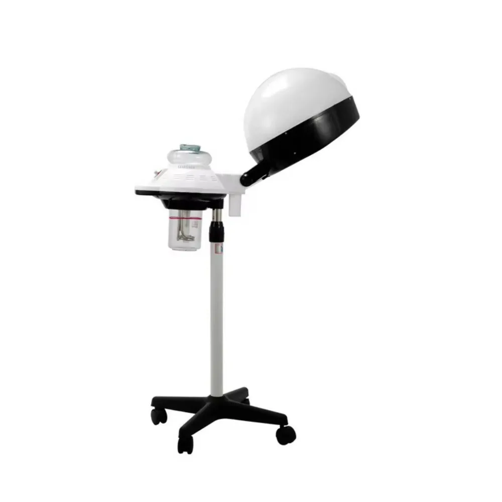 Ozone Micro Mist Hair Steamer, Professional Beauty Salon Equipment, Steam Therapy for Hair Treatment