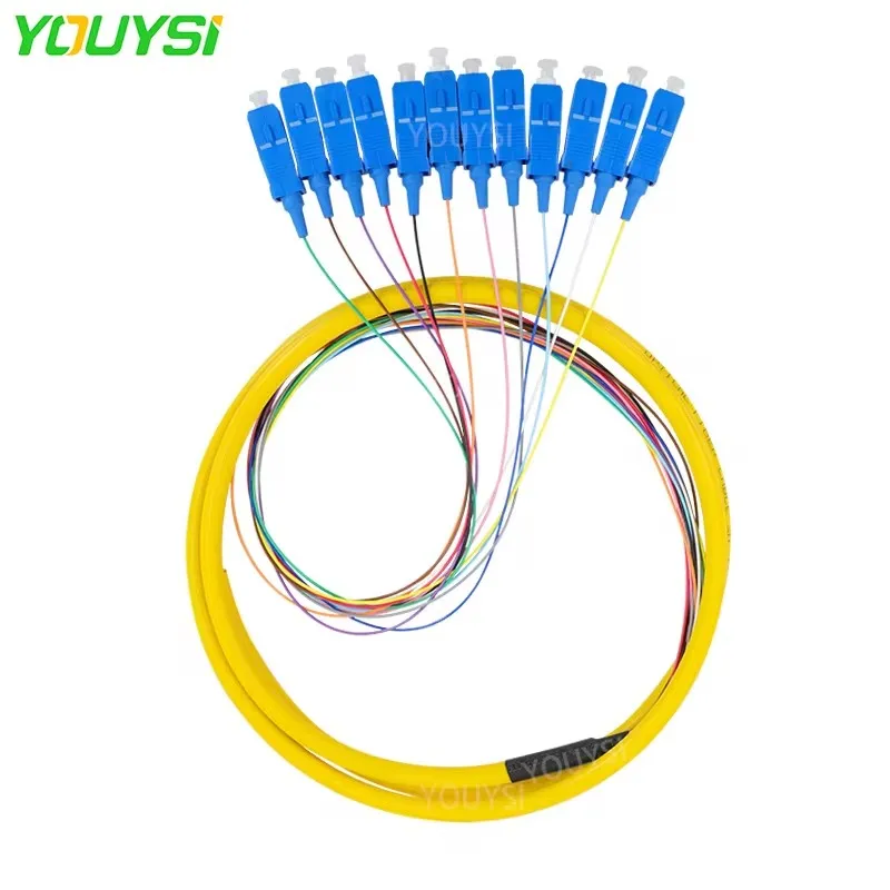 SC/UPC 1.5M 12 core outdoor Fiber Optic Patch Cord pigtail fanout fiber optic Pigtails single mode pigtail