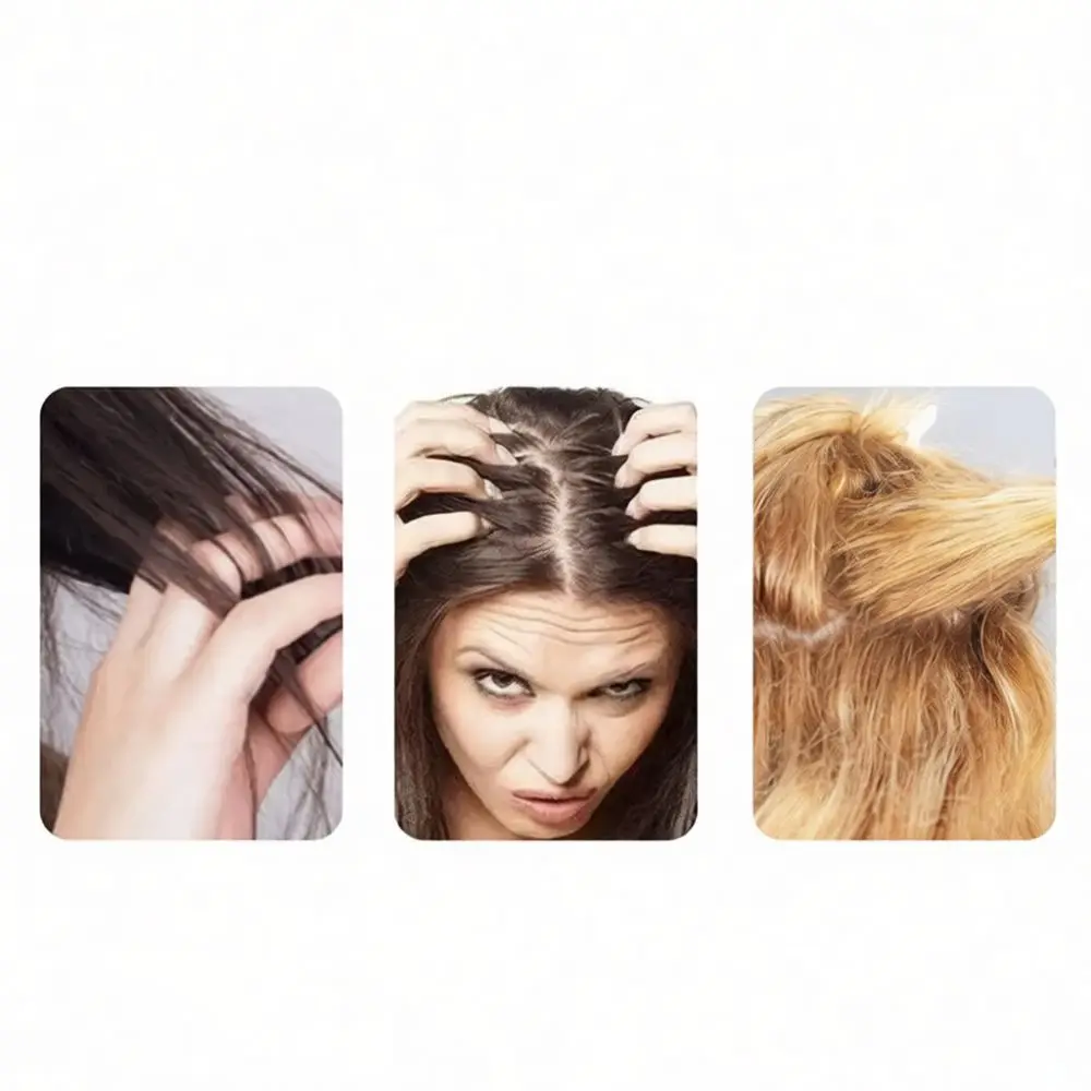 Hair Care Air Cushion Comb Portable Anti Static Massage Brush For Curly Straight Styling Daily Grooming Essential Tool