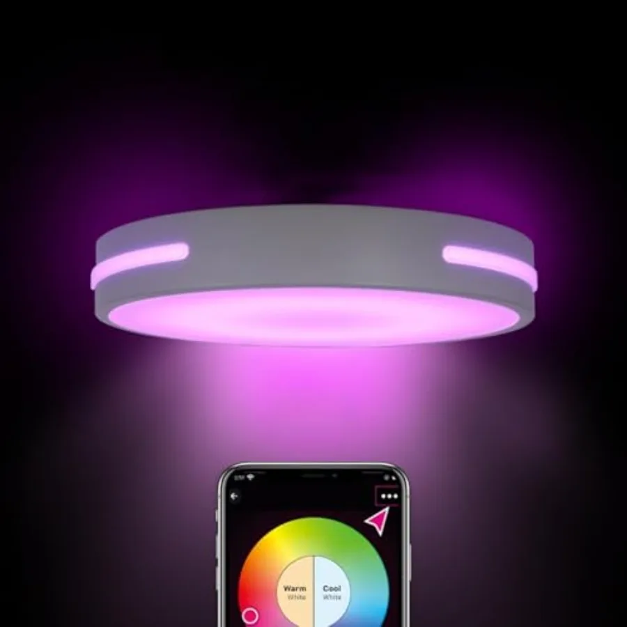 RGBIC LED Smart Flush Mount Ceiling Light Flush Mount Light Fixture with Remote Control WiFi Works with Alexa DIY Colors 3000-5