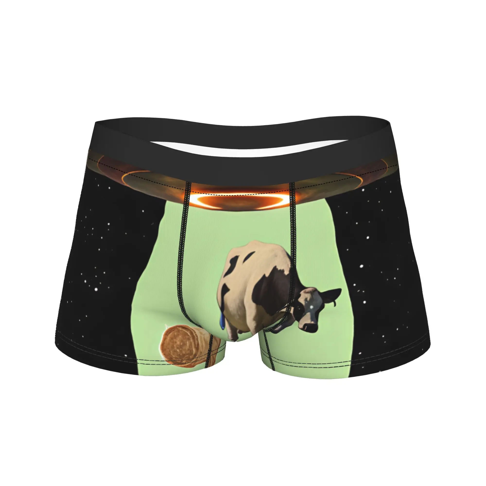 Retro UFO Kidnapped Cow  Underwear  Males Panties Customs Comfortable Boxer Shorts Trenky Boxer Brief Plus Size 2XL