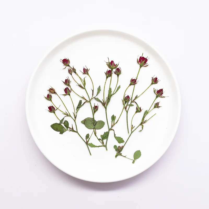 12pcs,Dried Rose Multi Bud Branches Pressed Flowers Real Plant DIY Resin Bookmark Epoxy Craft Scrapbooking Floral Art Materials