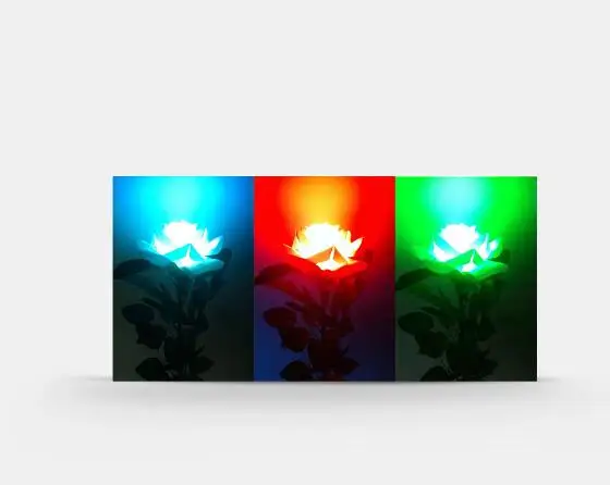 No image