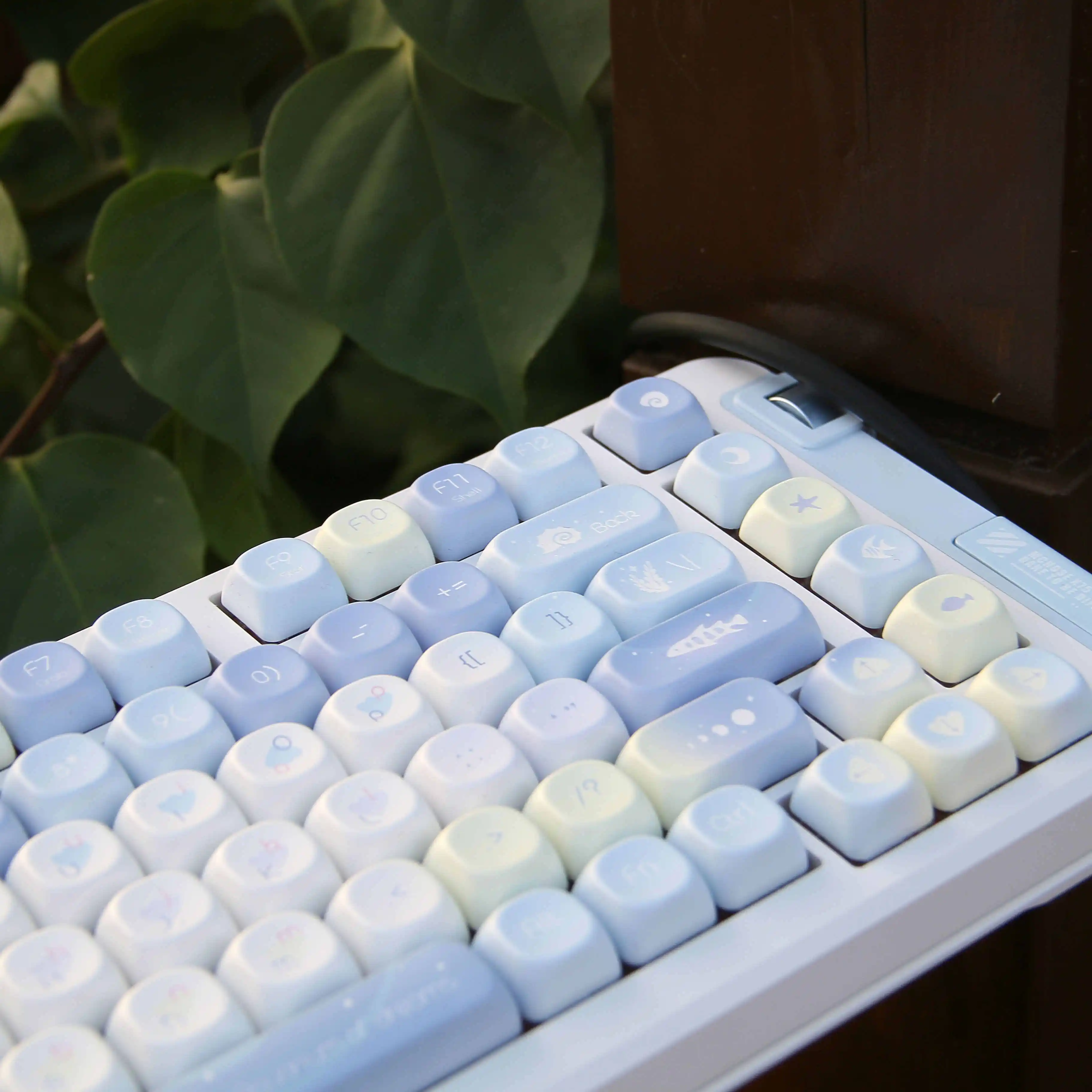 No image