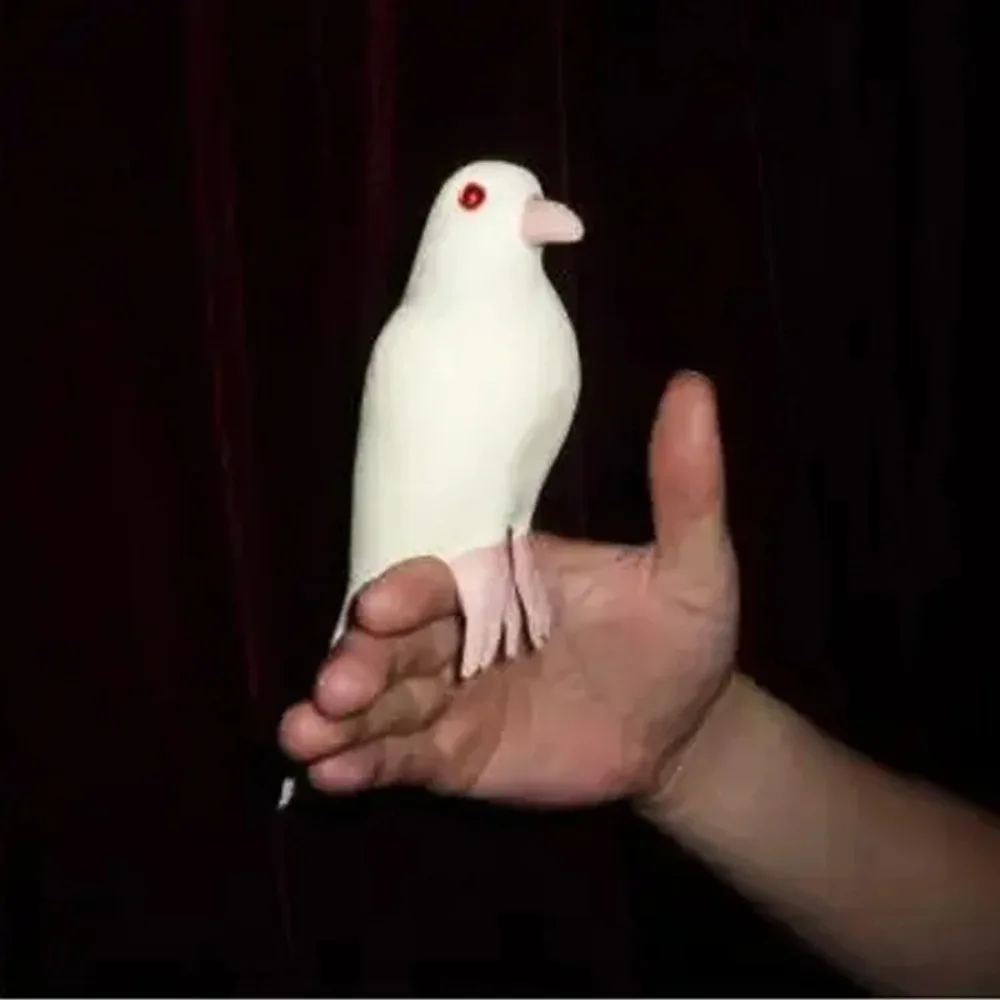 No image