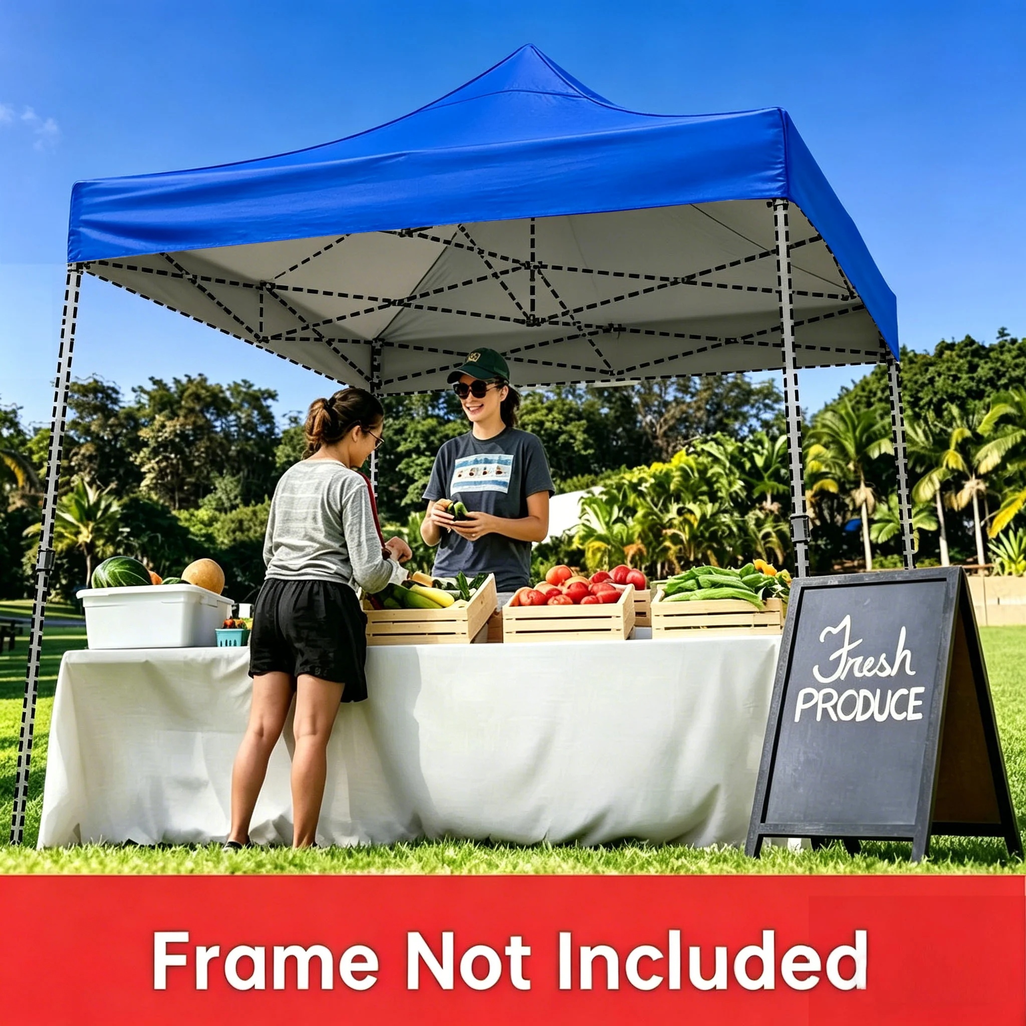 No image