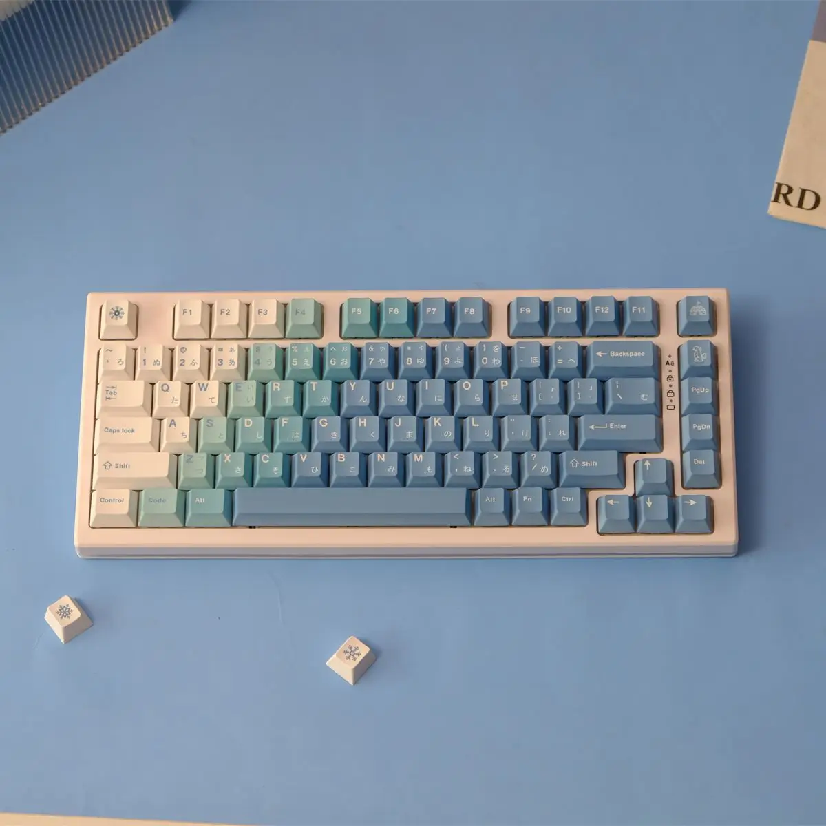 No image