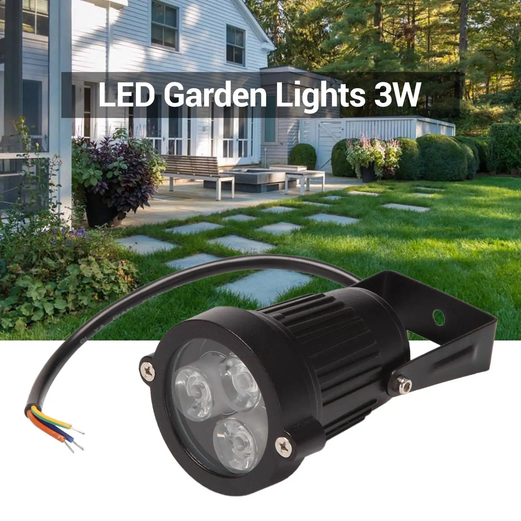 No image