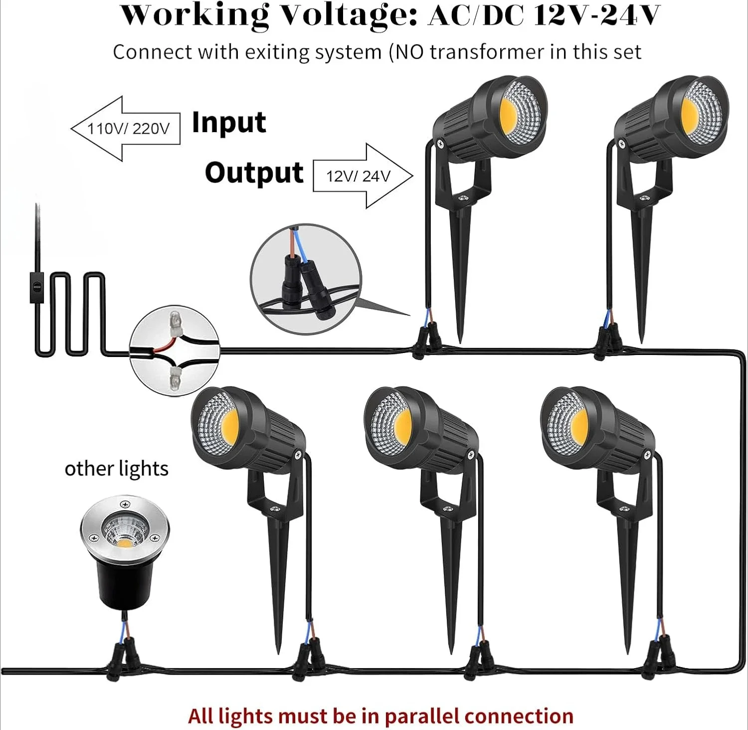 No image