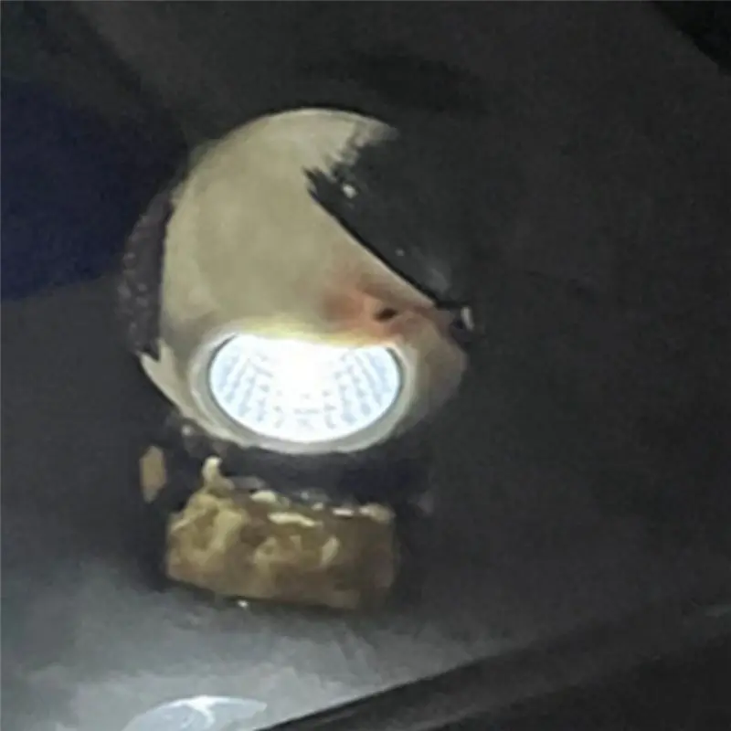 No image