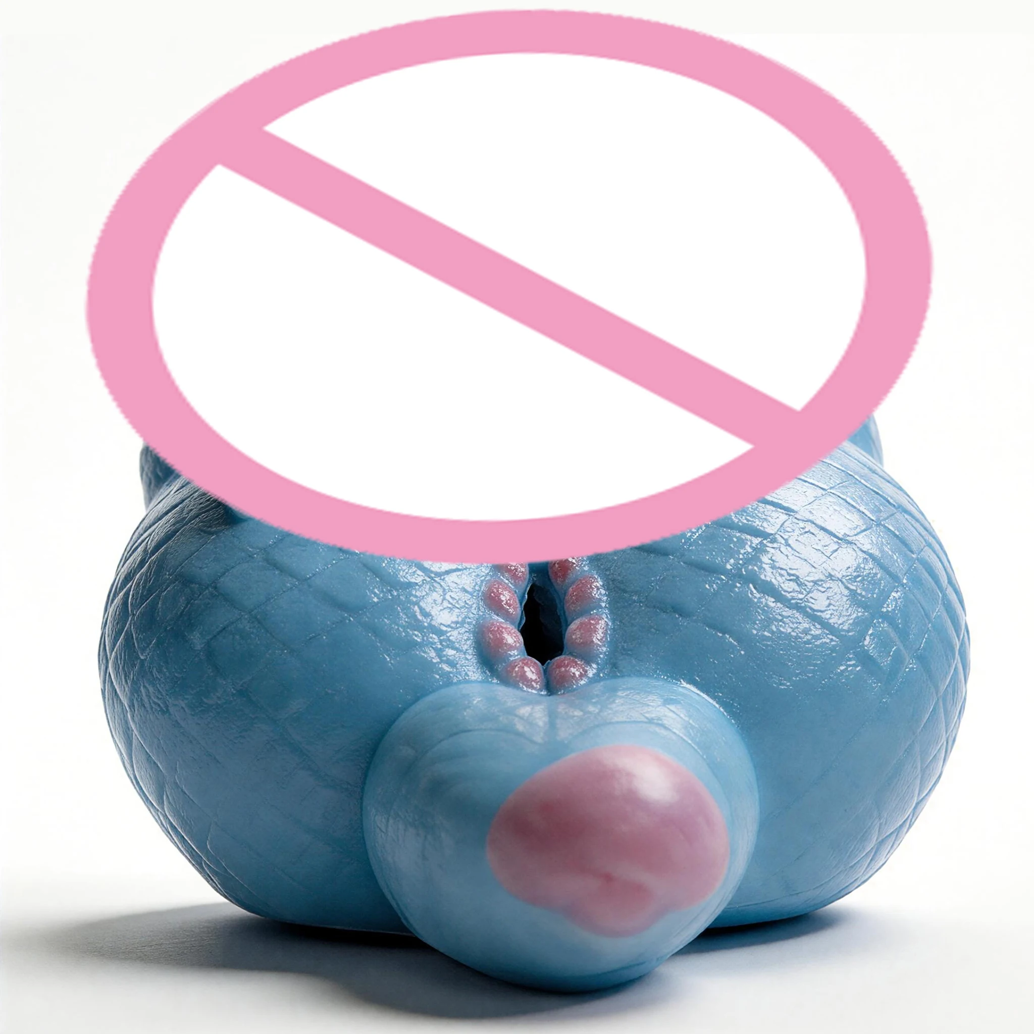 No image