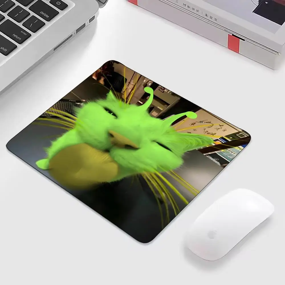 No image