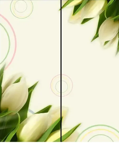 No image