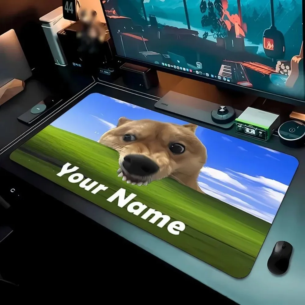 No image